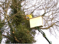 time saving target pruning carried out efficiently