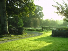 farm hedge cutting